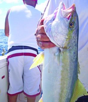 John took us to one of his favourite pinnacles and everyone landed fish like this amberjack.